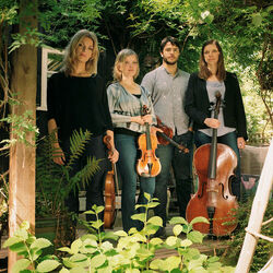 Picture of Chiaroscuro Quartet