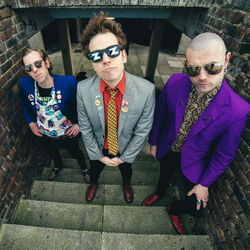 Picture of The Zipheads