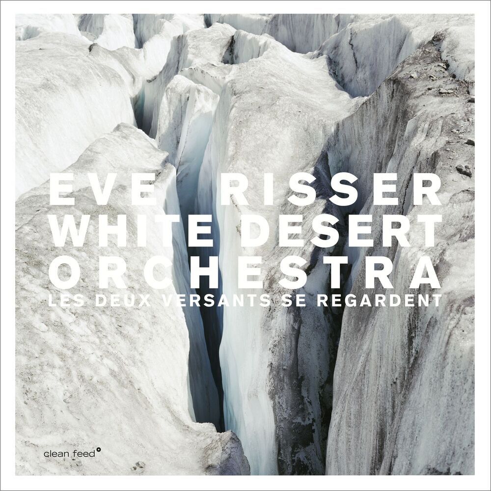Picture of White Desert Orchestra