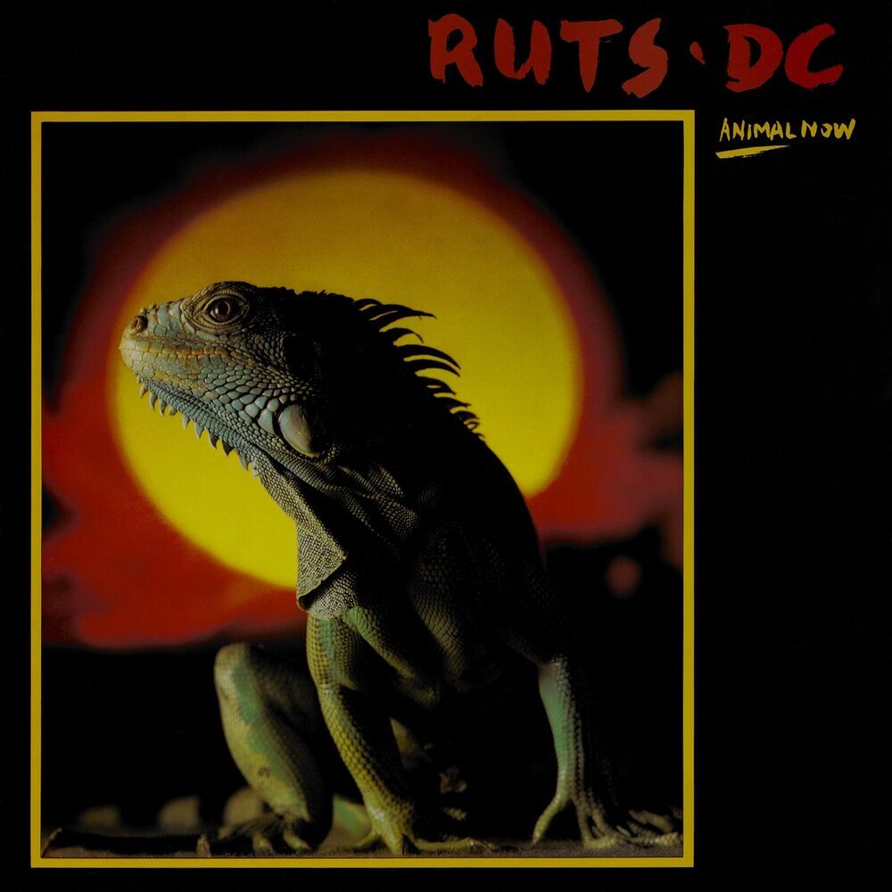 Picture of Ruts D.C.