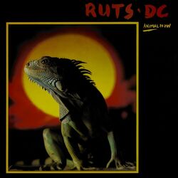 Picture of Ruts D.C.