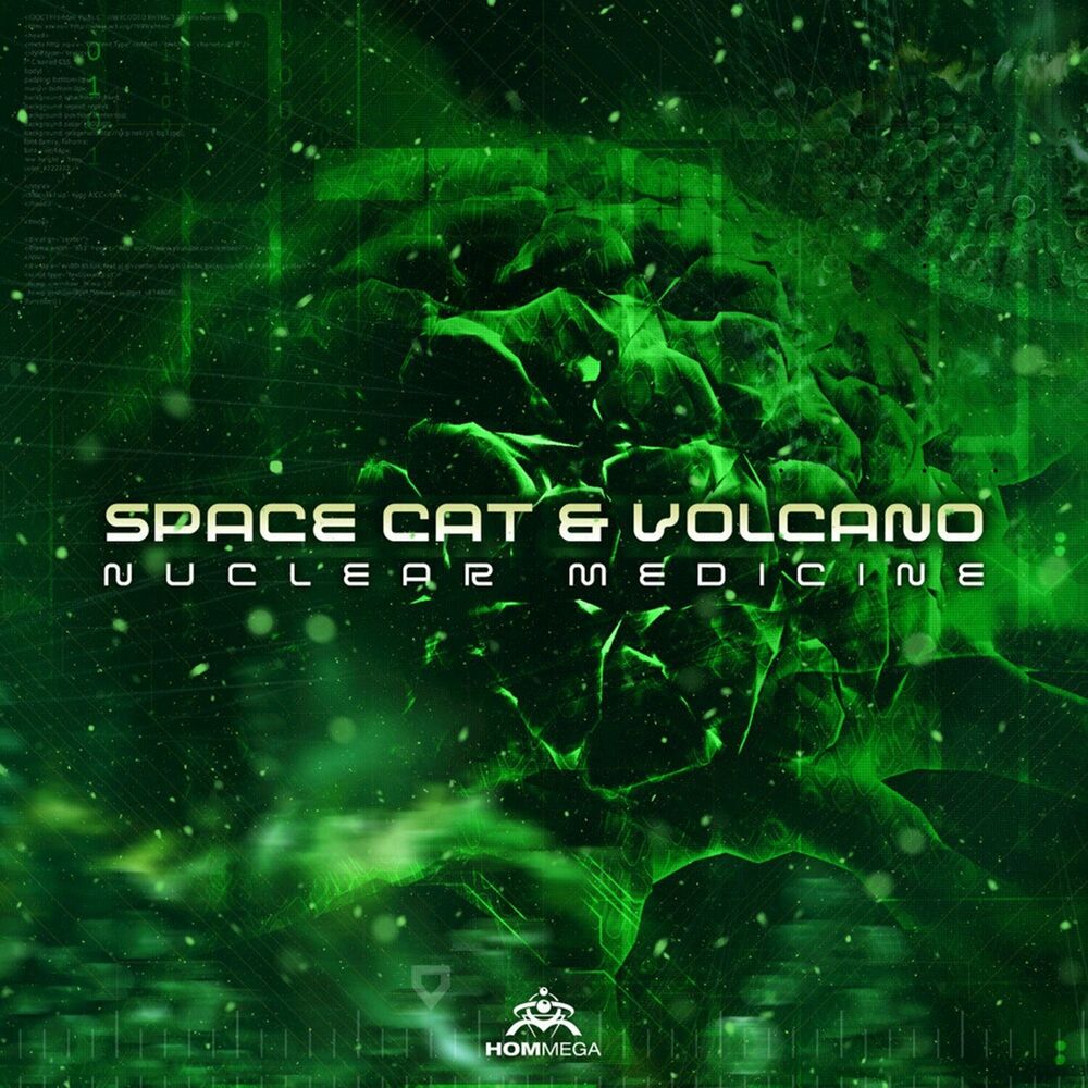 Picture of Space Cat