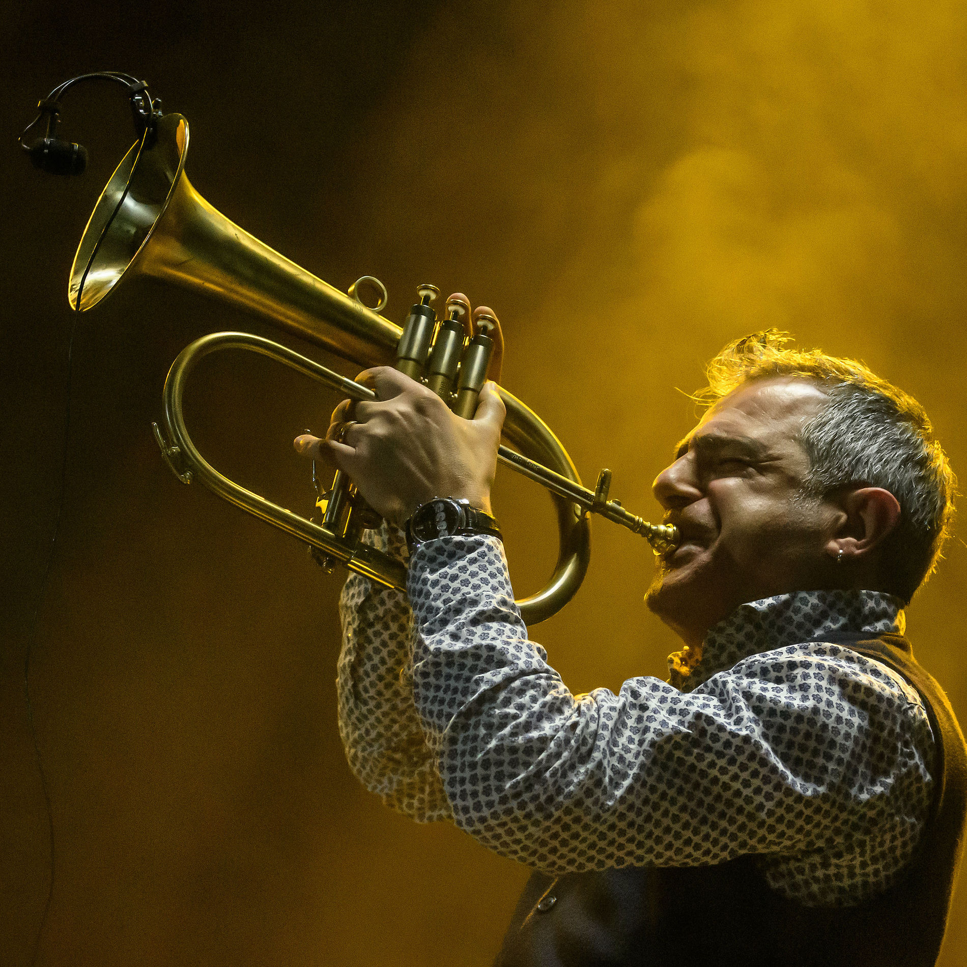 Artist picture of Paolo Fresu