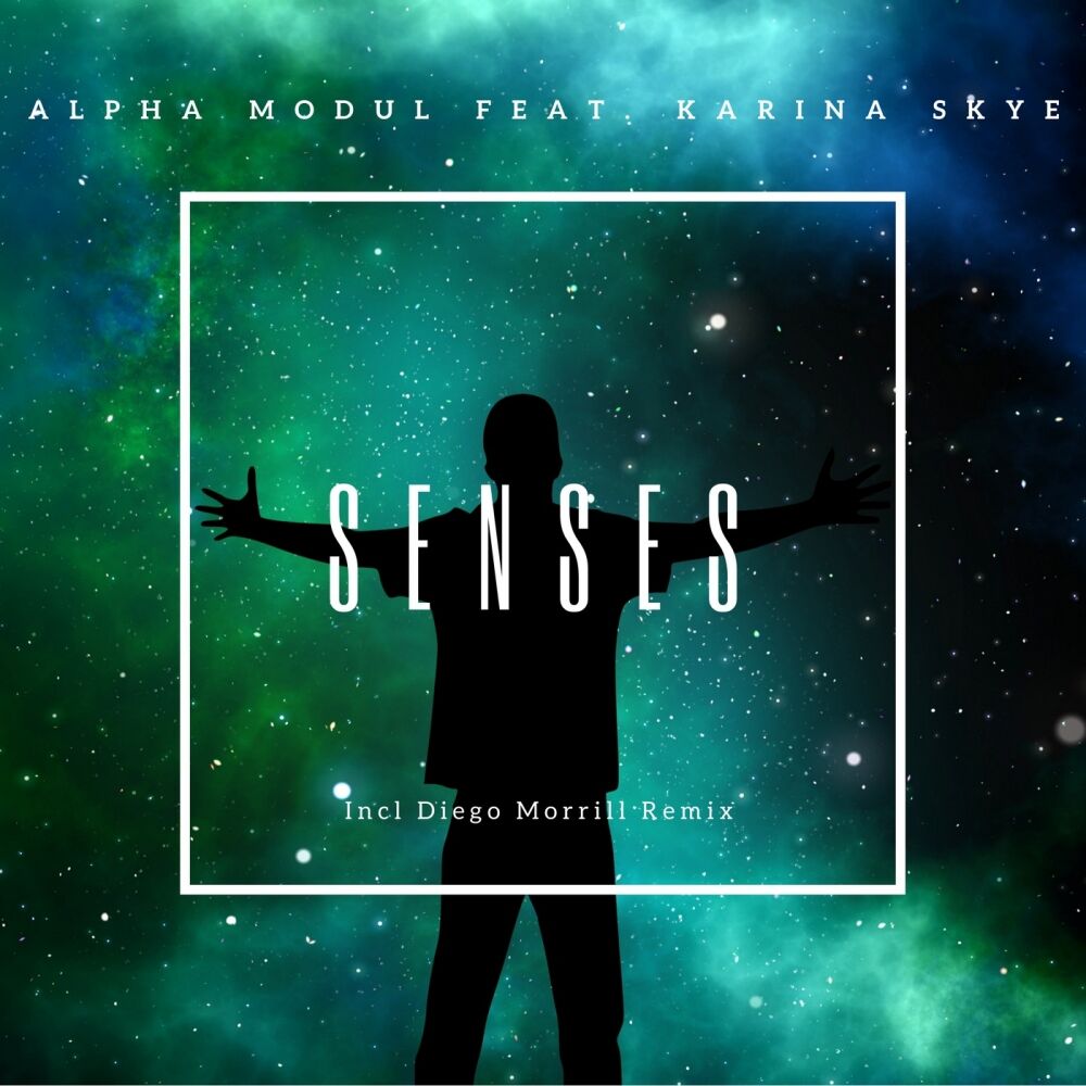 Picture of Alpha Modul