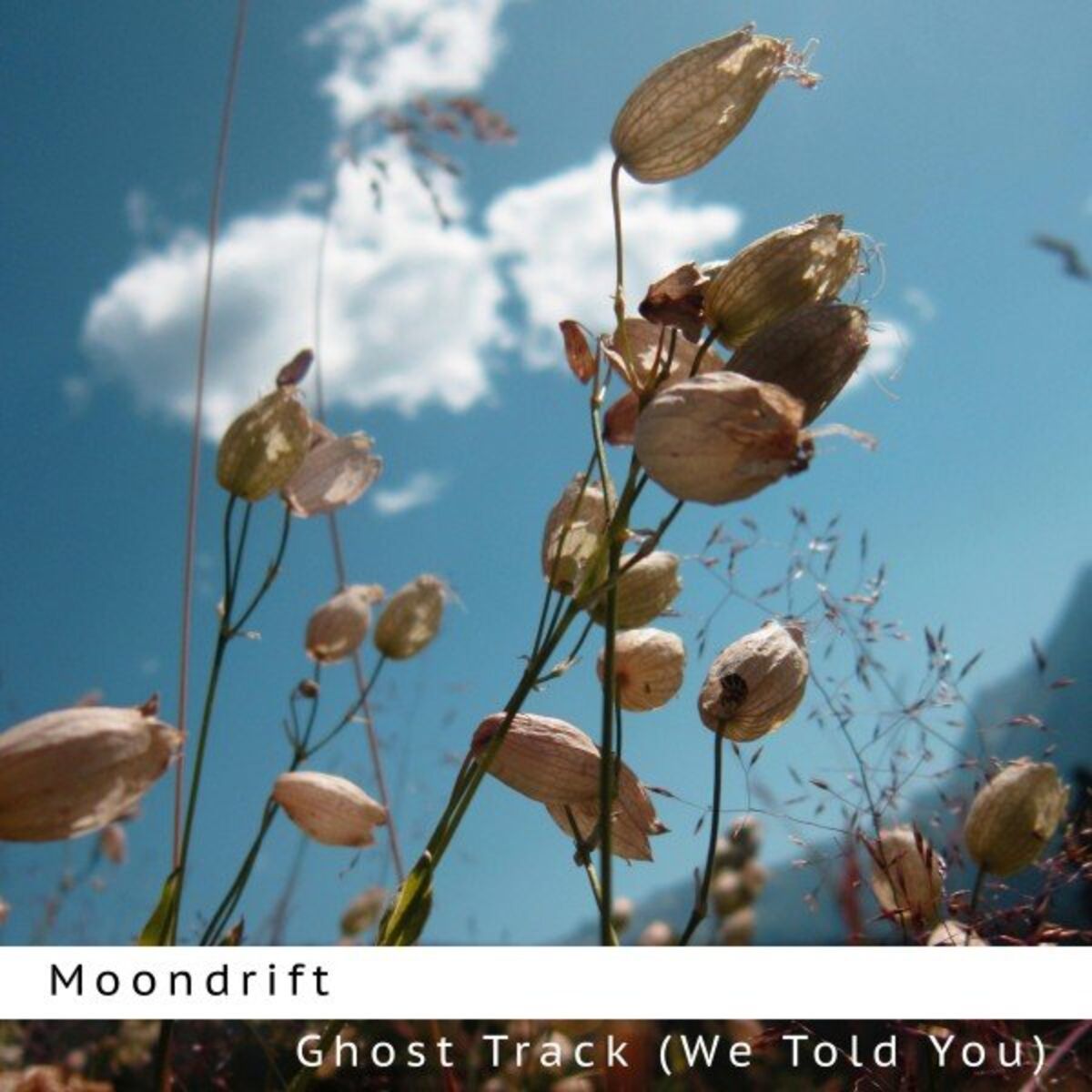 Moondrift: albums, songs, concerts | Deezer Moondrift: albums, songs, concerts | Deezer