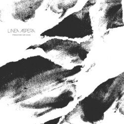 Picture of Linea Aspera