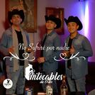 Intocables De Chile