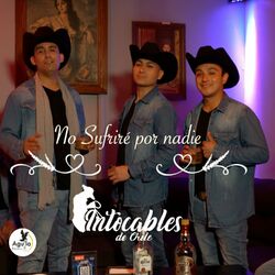 Picture of Intocables De Chile