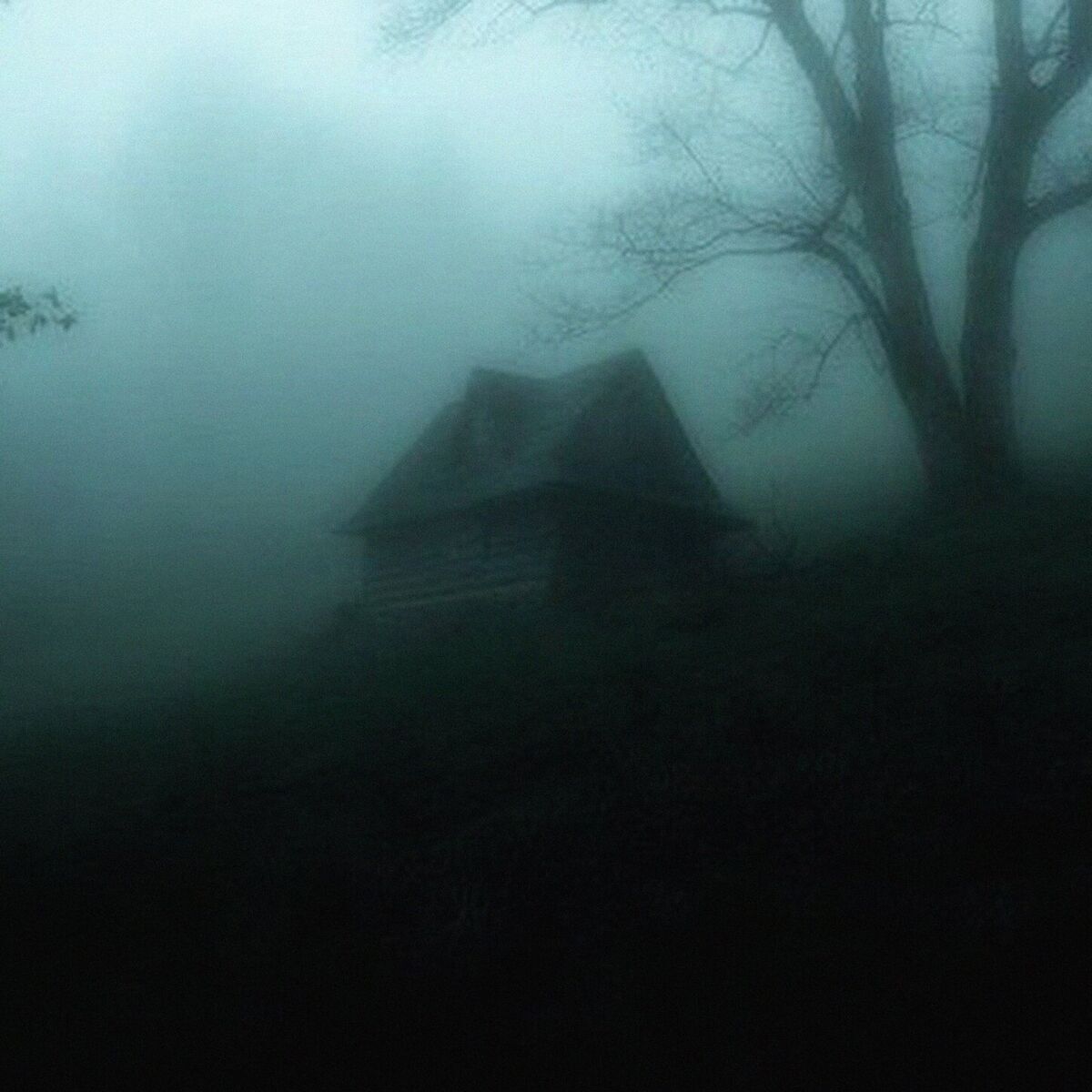 The Lonely Tree