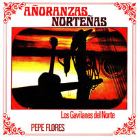 Pepe Flores