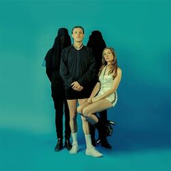 Picture of Confidence Man