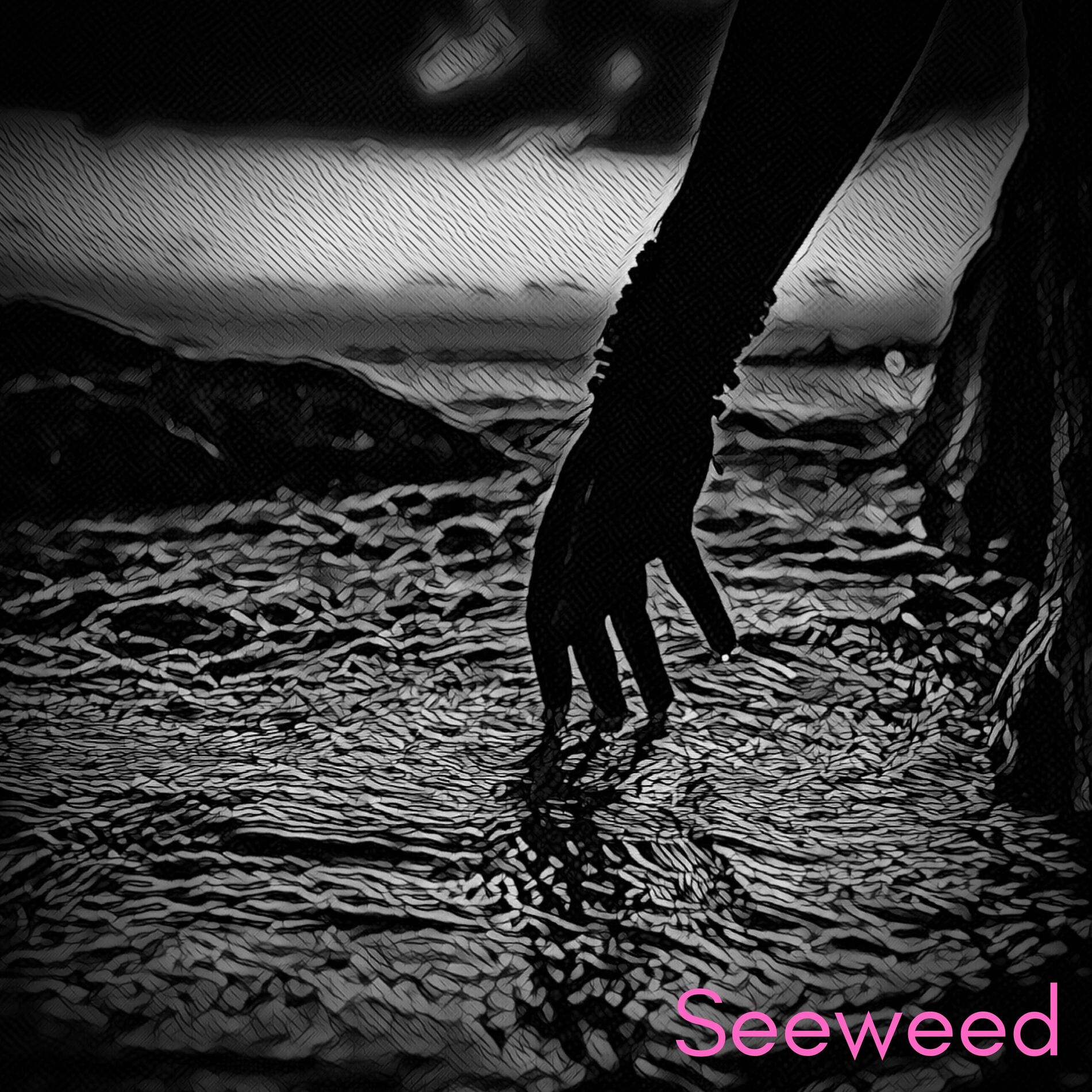 Seeweed