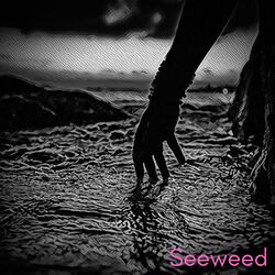 Picture of Seeweed