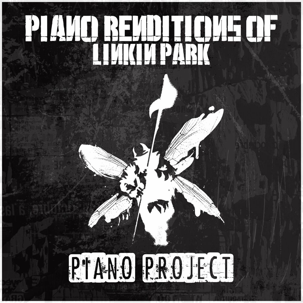 Picture of Piano Project