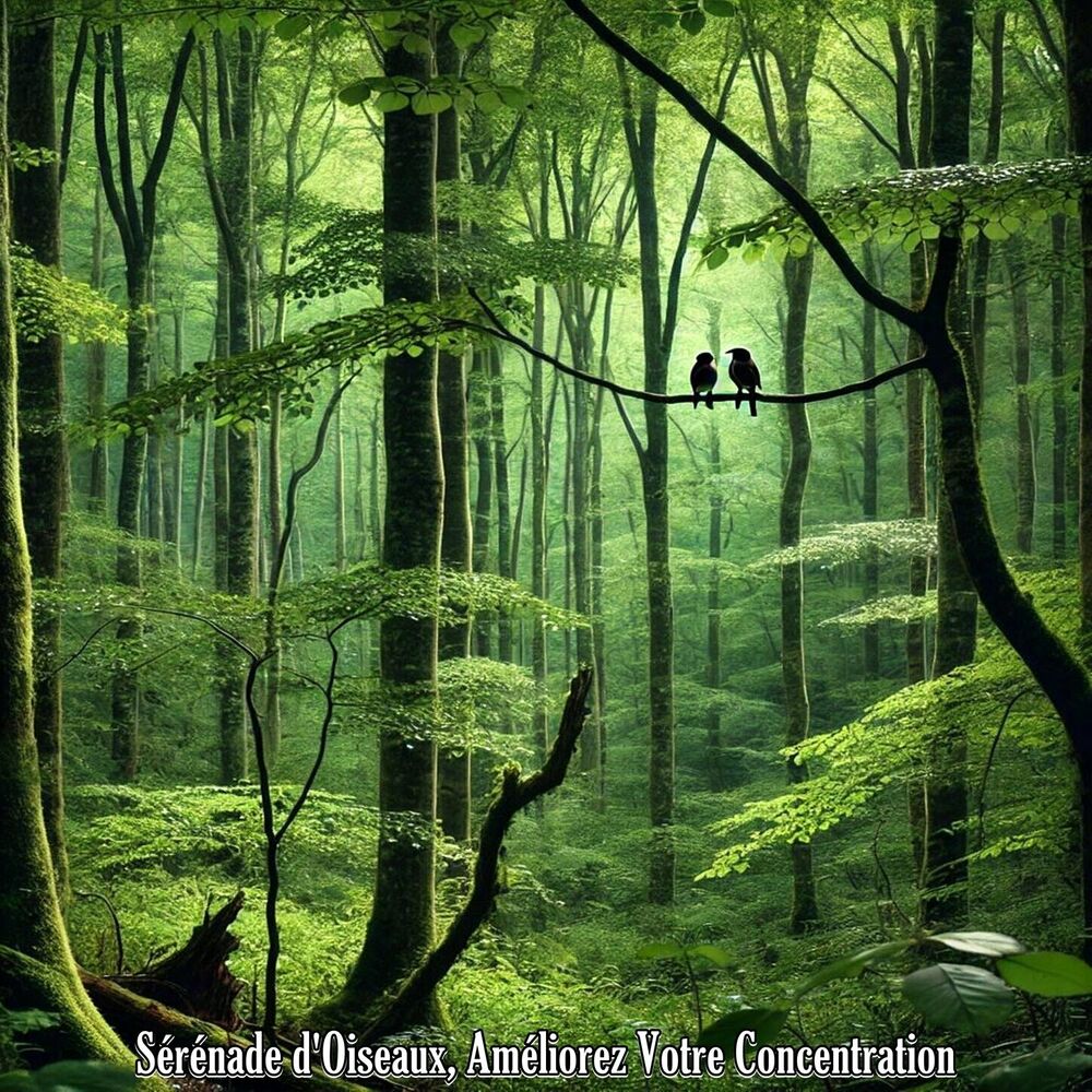 Picture of Mélodies de la Forêt