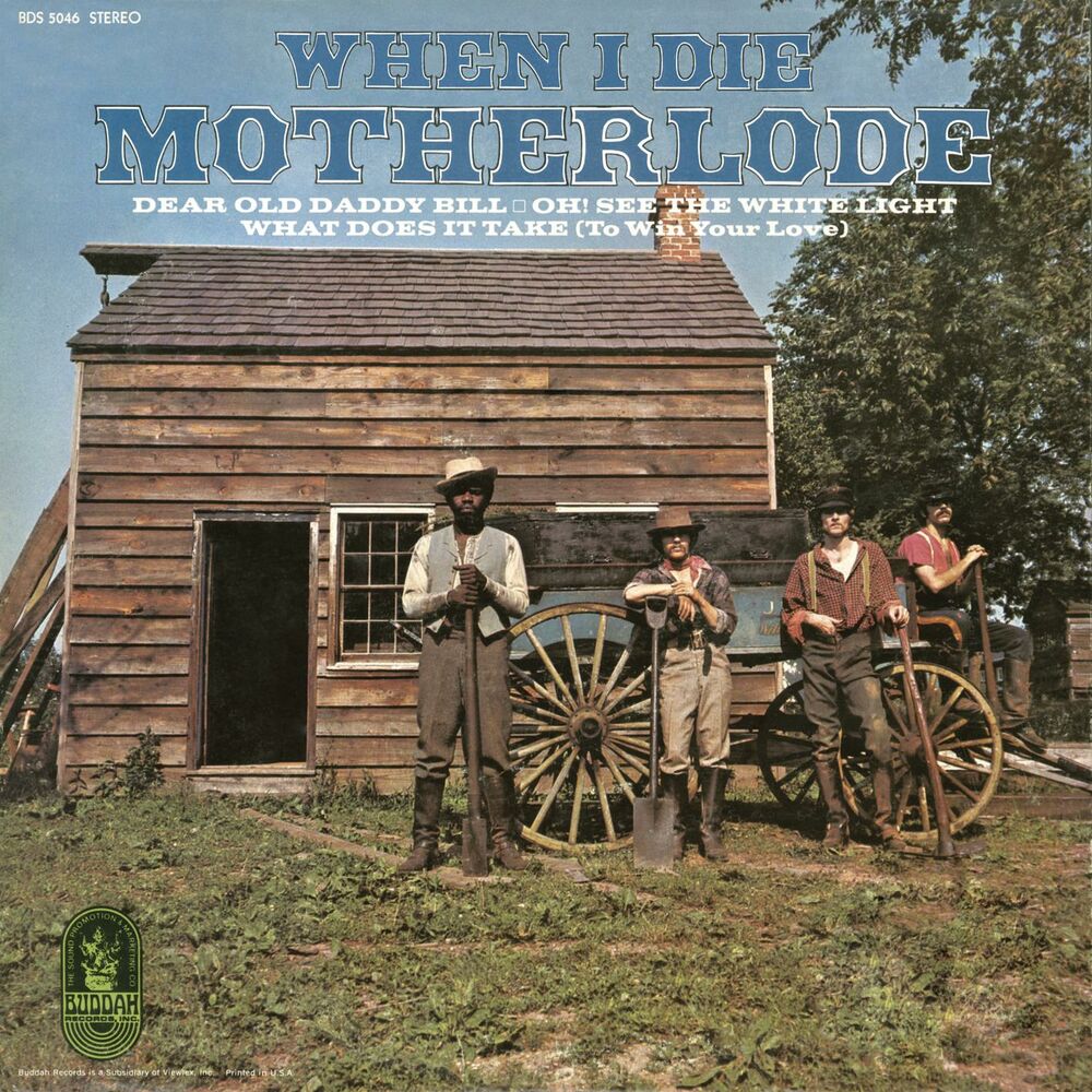 Picture of Motherlode