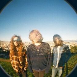 Picture of Fuzz