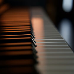 Picture of Pianovus
