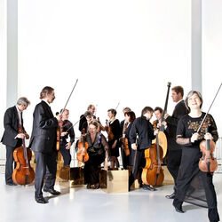 Picture of Musica Amphion