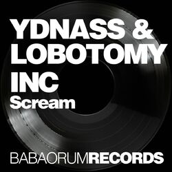 Ydnass