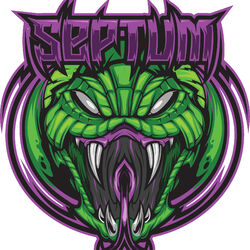 Picture of Septum