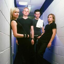 Picture of The Cardigans