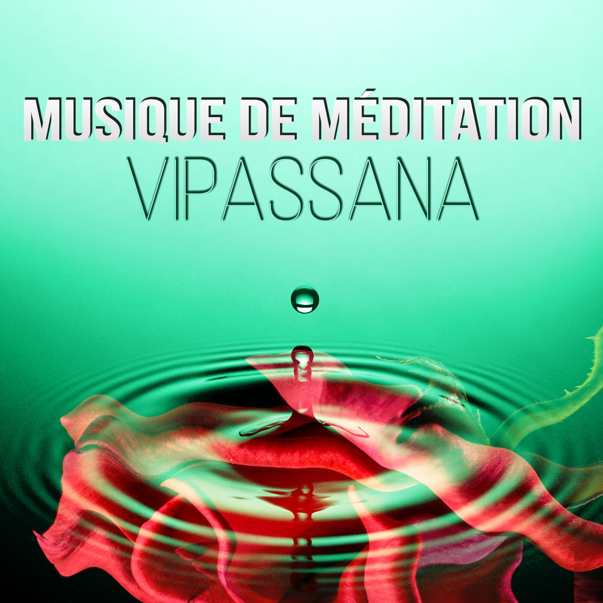 Artist picture of Musique de Méditation Ambiante