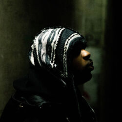 Picture of Yovo