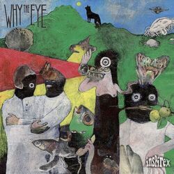 Picture of Why The Eye ?