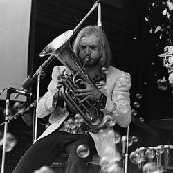 Picture of The Bonzo Dog Band