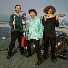 Violons Barbares