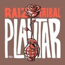 Raiz Tribal