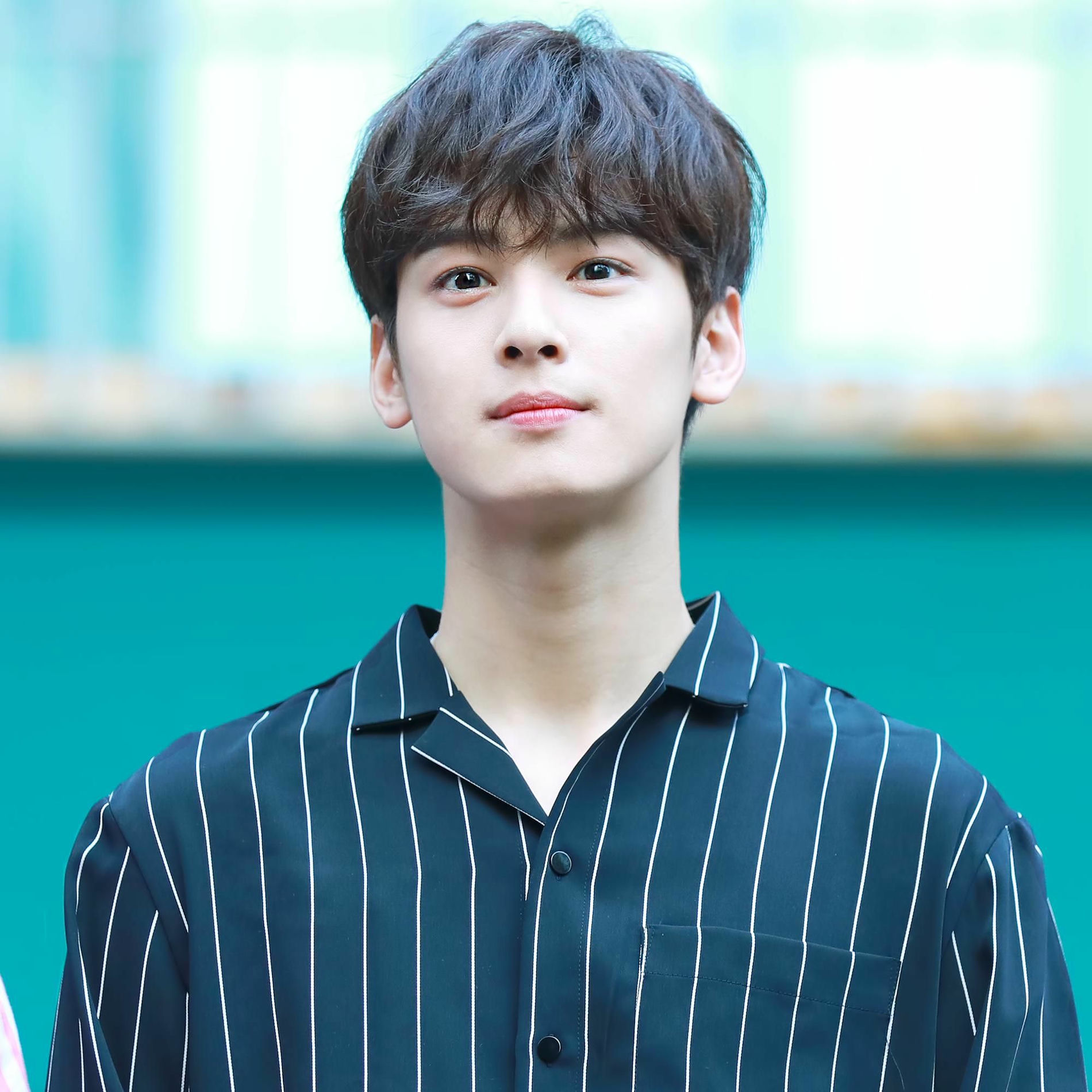 Cha Eun Woo