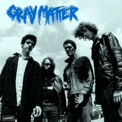 Picture of Gray Matter