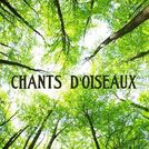 Musique Douce Ensemble Master