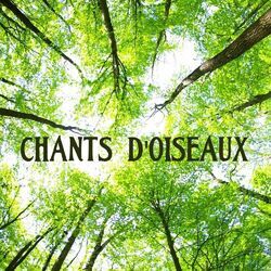 Picture of Musique Douce Ensemble Master