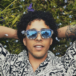 Picture of Mafro