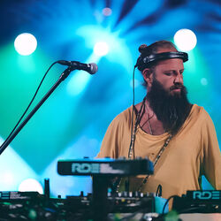 Picture of Ape Chimba