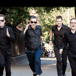 Picture of Pansy Division