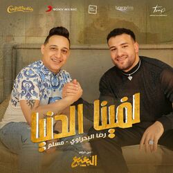 Picture of Reda El Bahrawy