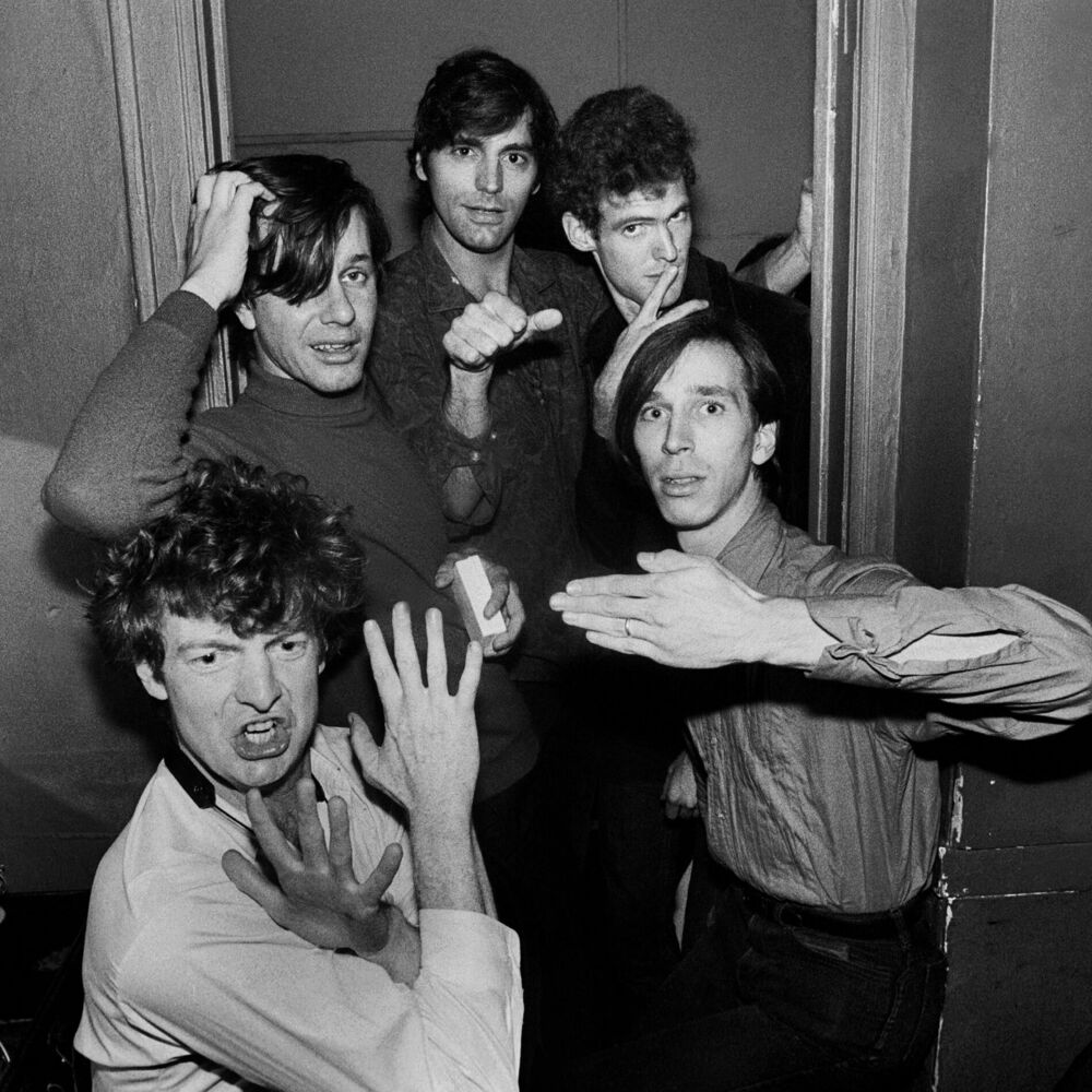 Picture of The Fleshtones