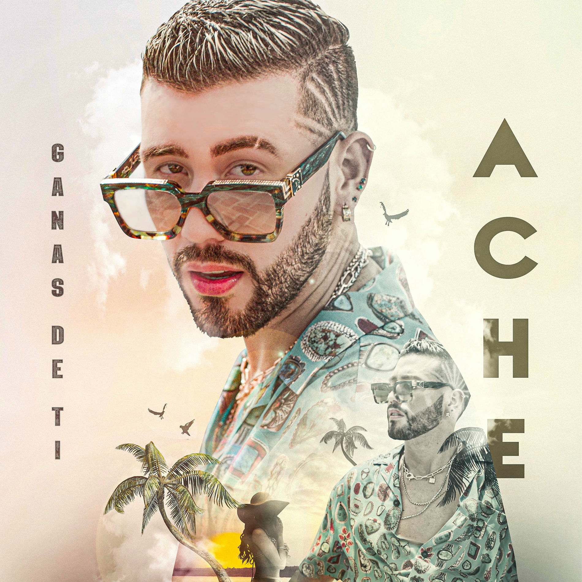 Artist picture of Ache