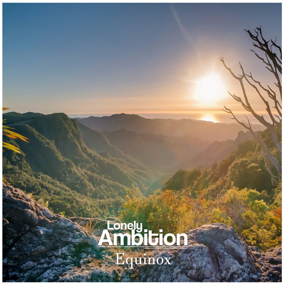 Picture of Lonely Ambition