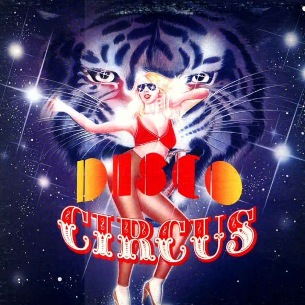 Photo de l'artiste Disco Circus