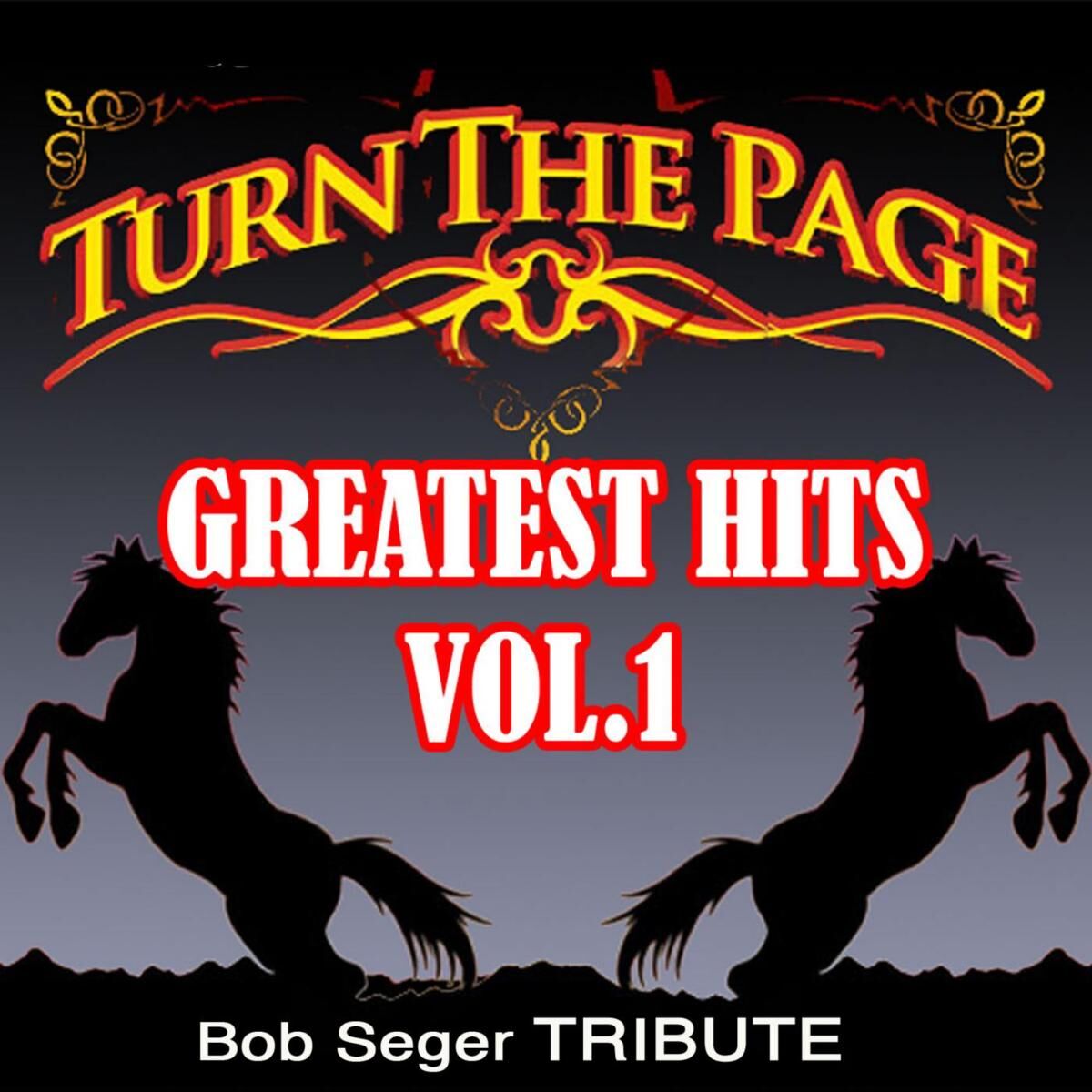 Sam Morrison and Turn The Page