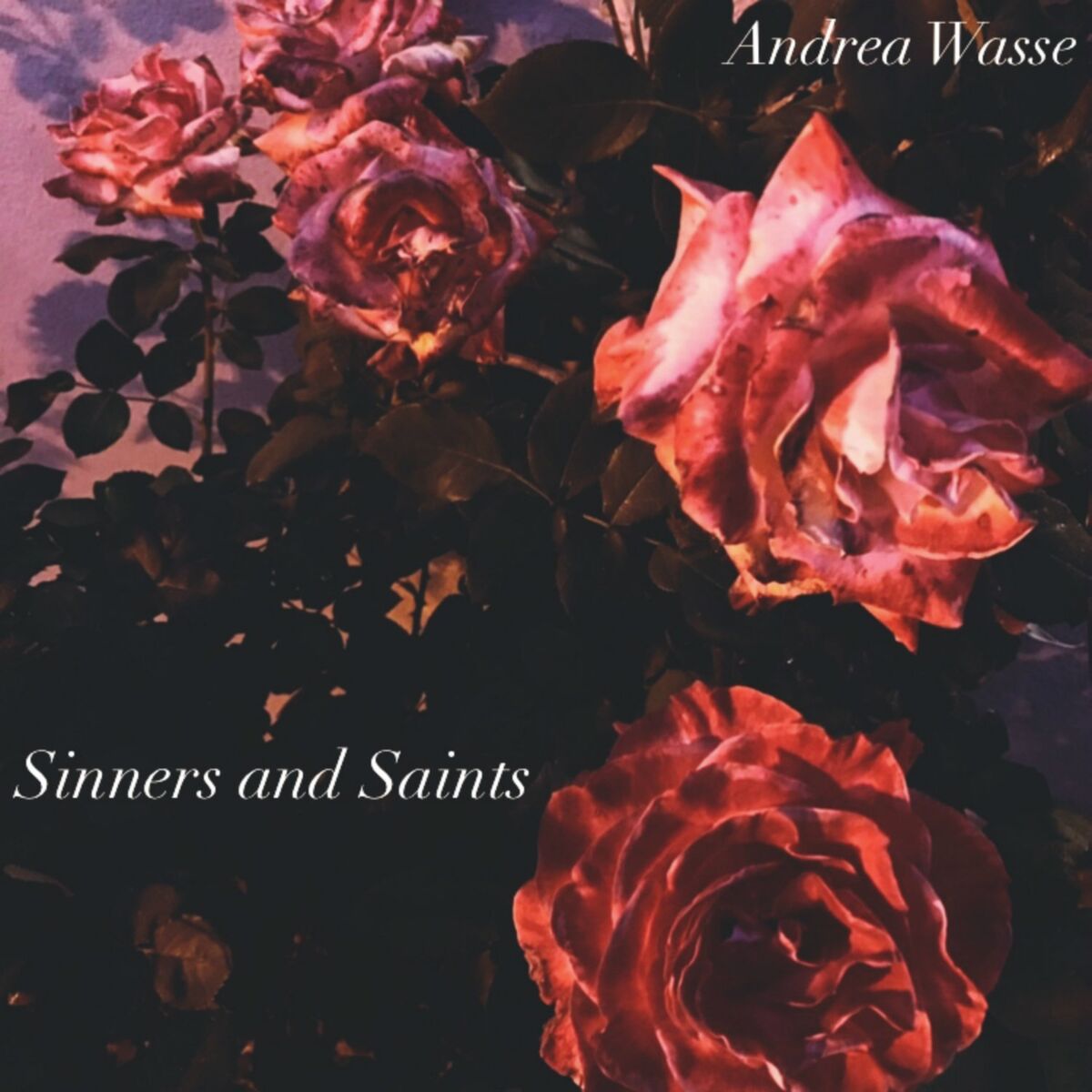 Andrea Wasse