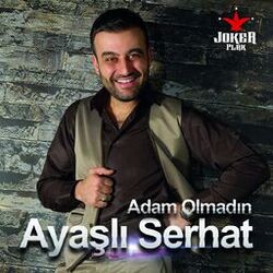 Picture of Ayaşlı Serhat