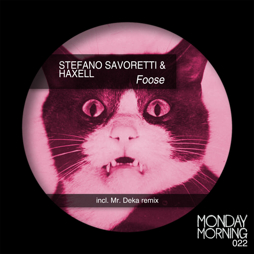 Picture of Stefano Savoretti & Haxell