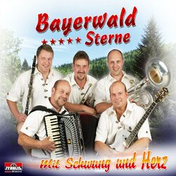Picture of Bayerwald Sterne