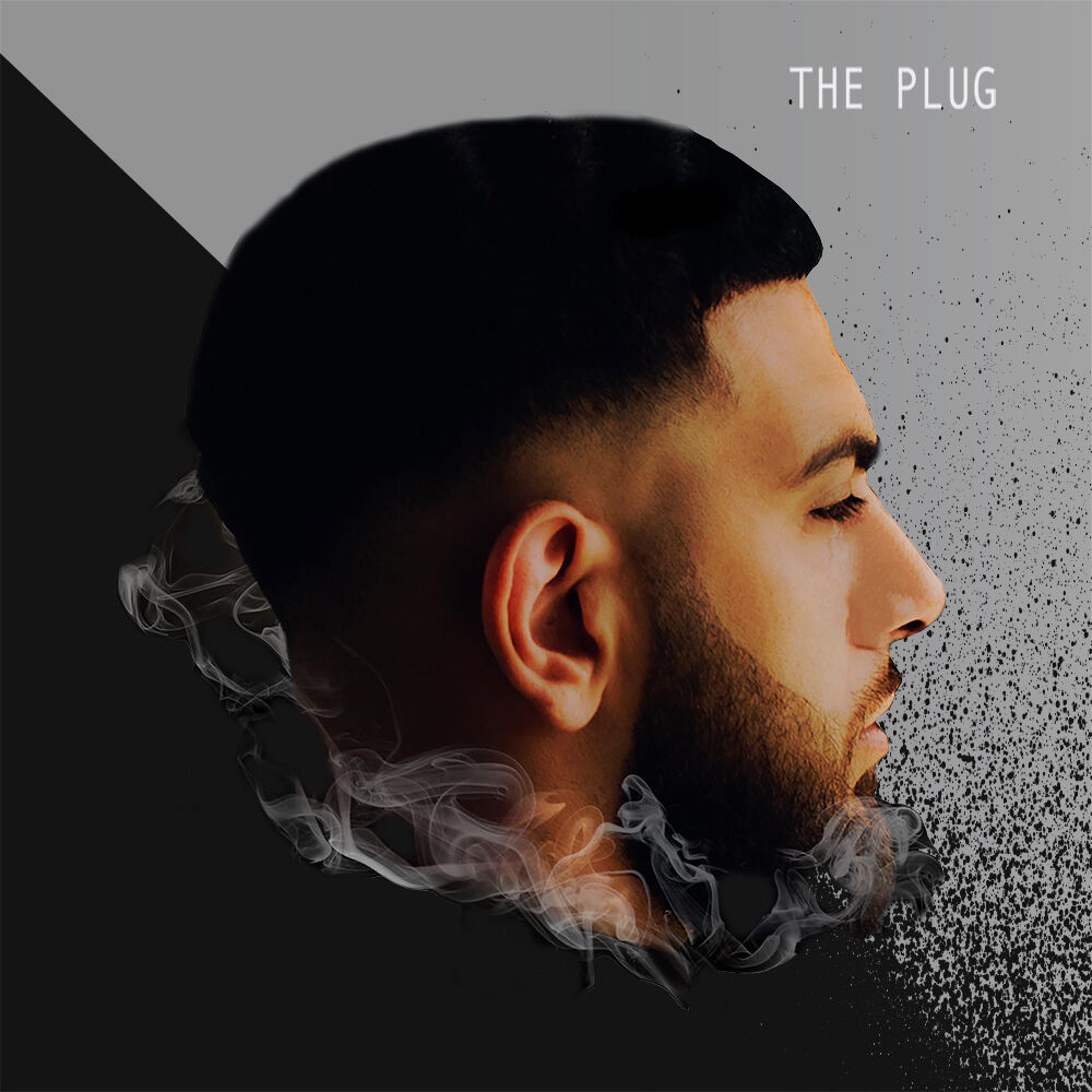Picture of The Plug